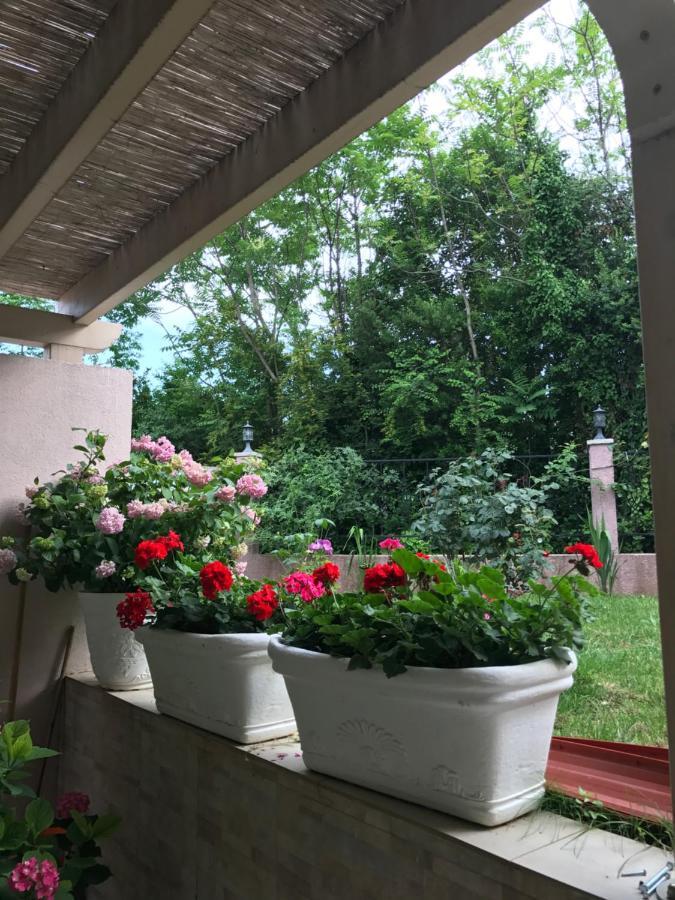 Villa Alla Bed&Breakfast Herceg Novi Esterno foto