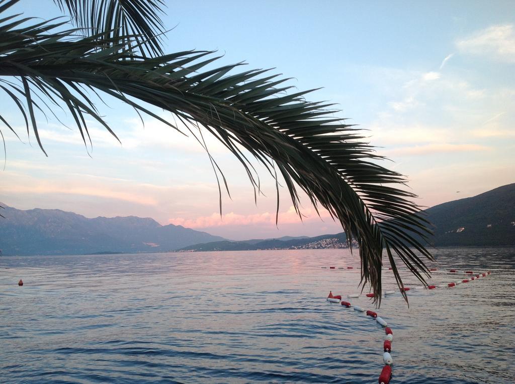 Villa Alla Bed&Breakfast Herceg Novi Esterno foto